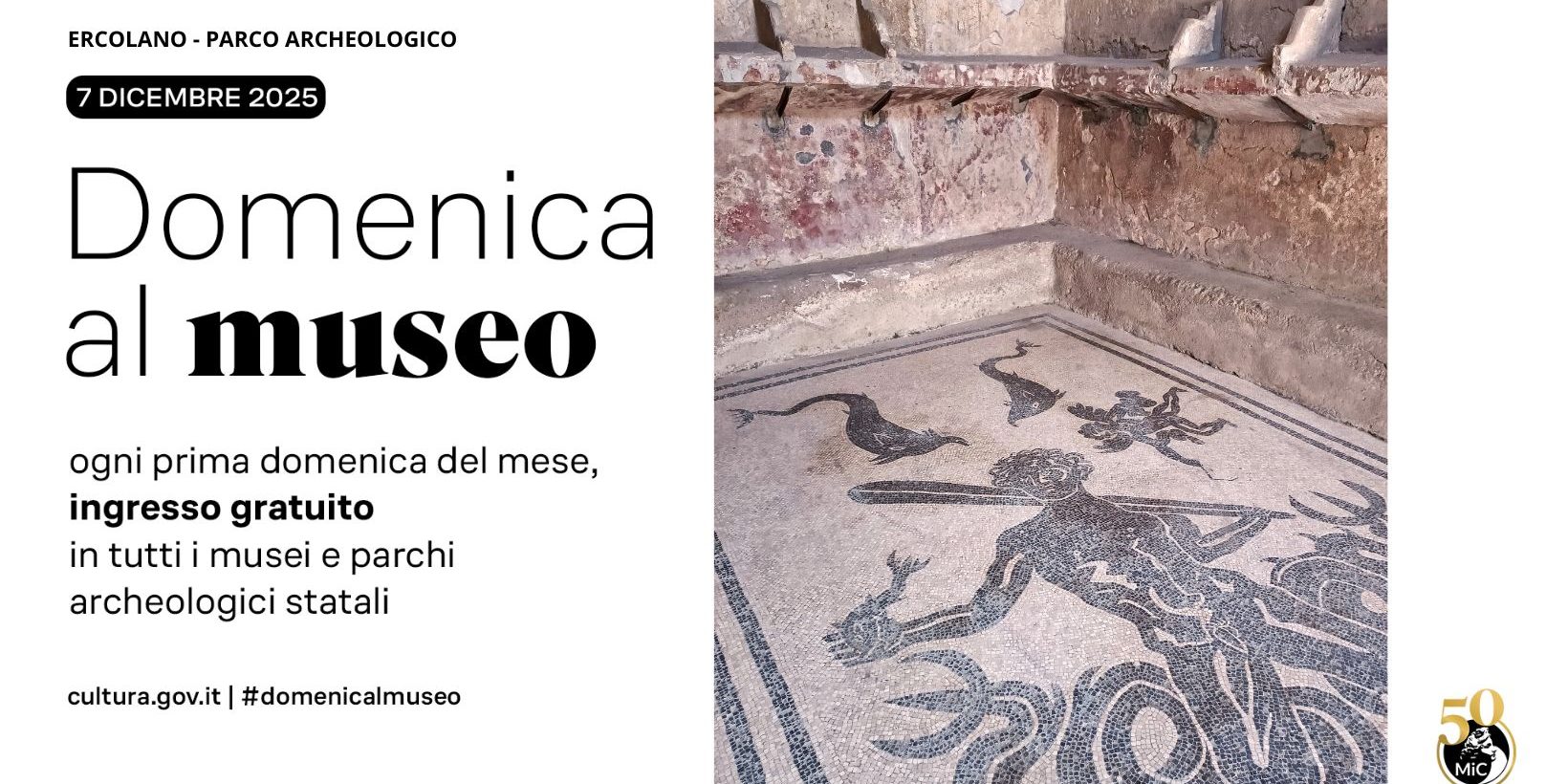 grafica domenicalmuseo 07.12